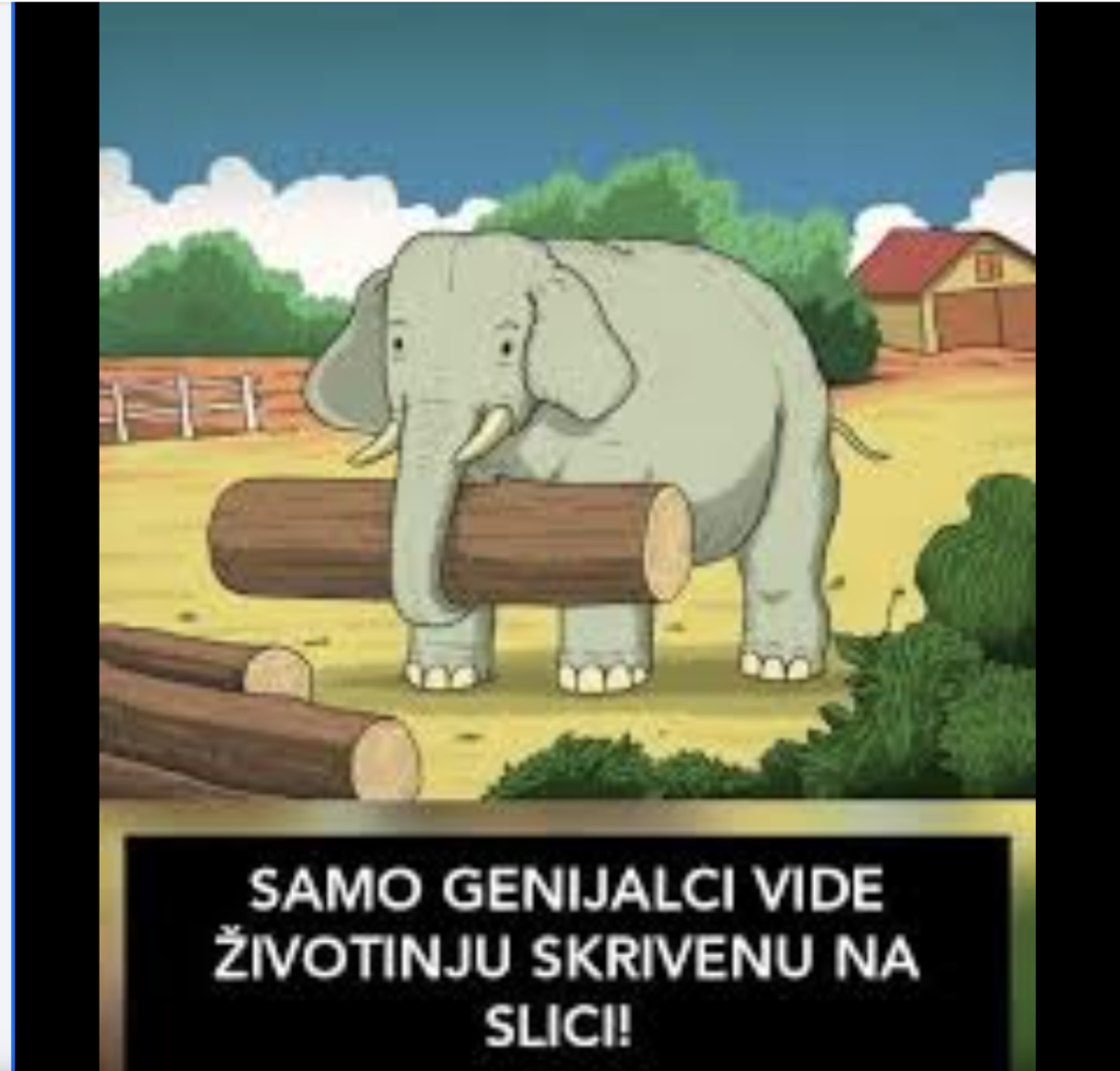 Slagalice i vizuelni testovi oduvijek privlače pažnju ljudi.