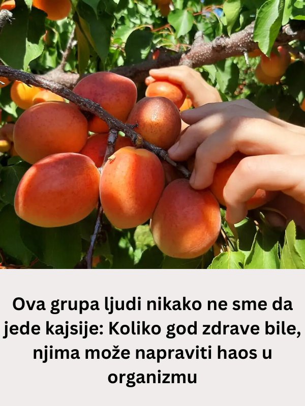 Ova grupa ljudi nikako ne sme da jede kajsije: Koliko god zdrave bile, njima može napraviti haos u organizmu