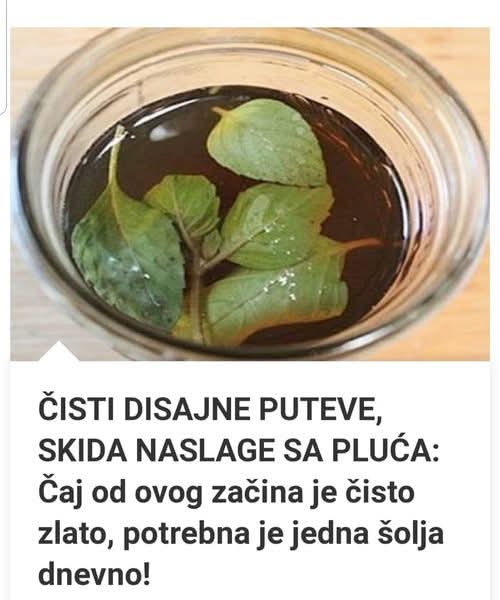ČISTI DISAJNE PUTEVE, SKIDA NASLAGE SA PLUĆA: Čaj od ovog začina je čisto zlato, potrebna je jedna šolja dnevno!