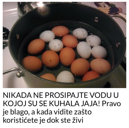 NIKADA NE PROSIPAJTE VODU U KOJOJ SU SE KUHALA JAJA! Pravo Je Blago, A Kada Vidite Zašto Koristićete Je Dok Ste Živi