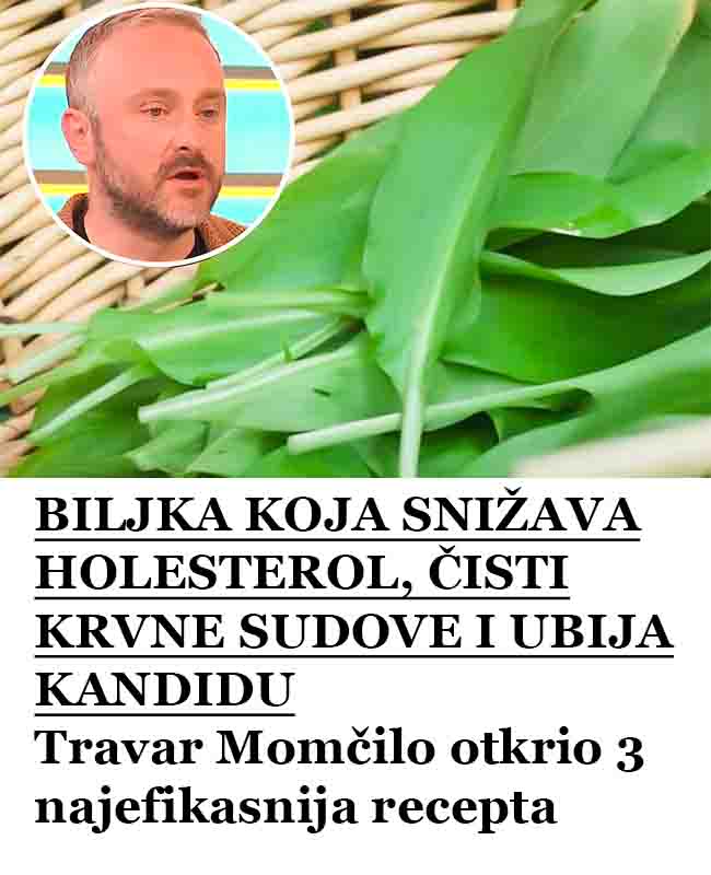BILJKA KOJA SNIŽAVA HOLESTEROL, ČISTI KRVNE SUDOVE I UBIJA KANDIDU: Travar Momčilo otkrio 3 najefikasnija recepta