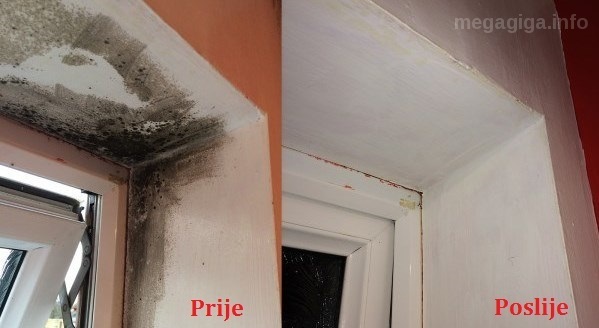 Samo poprskajte OVO ULJE i više nikada nećete vidjeti BUĐ u vašem domu!