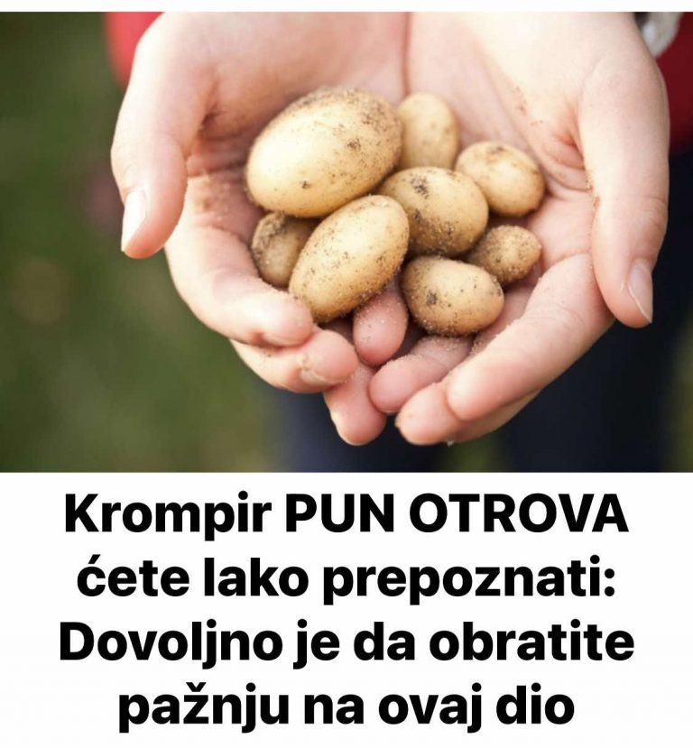 Krompir PUN OTROVA ćete lako prepoznati: Dovoljno je da obratite pažnju na ovaj dio